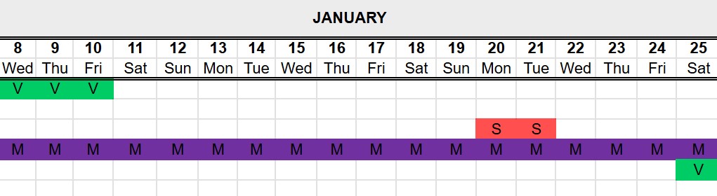 Visual timeline in Excel PTO tracker template by actiPLANS